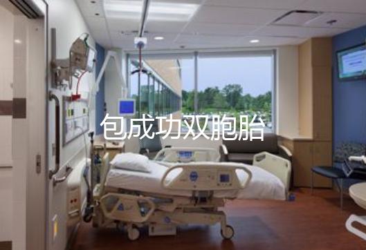 包成功双胞胎